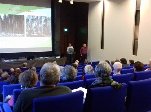 Une réunion d’informations sur la coupe du bois le 16 mars au Puy-en-Velay