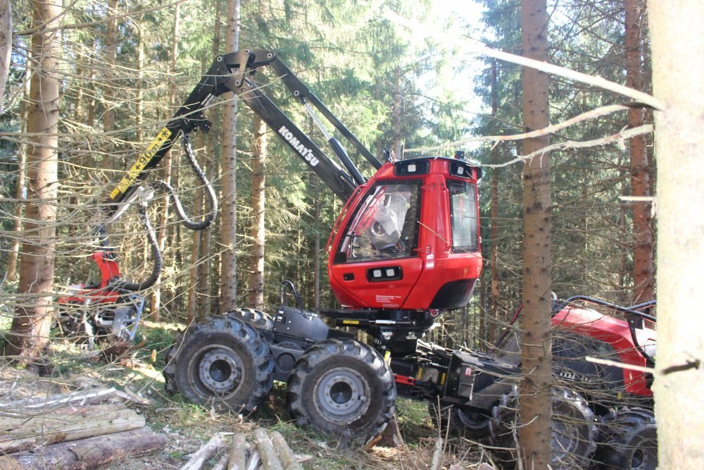Festi’Forêt revient le 8 septembre à Sembadel !