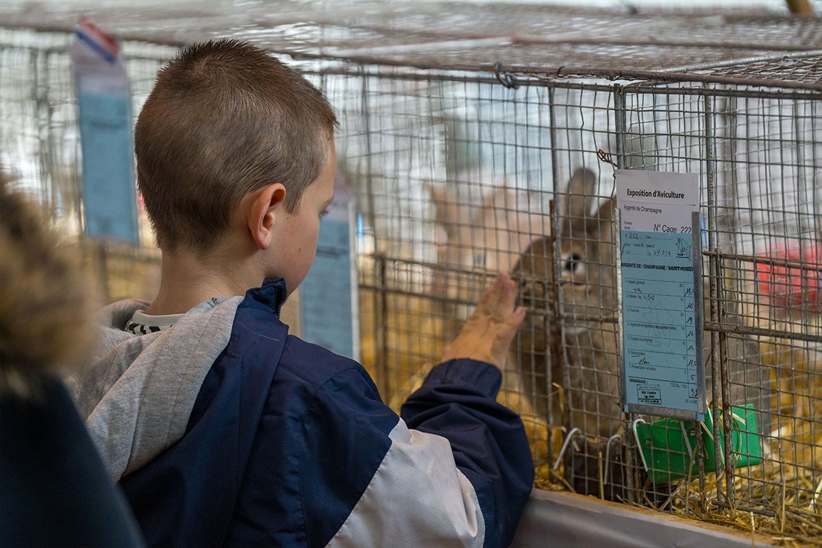 L’Exposition Nationale d’Aviculture s’est tenue à Saint-Paulien