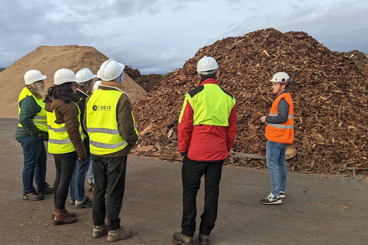 Zoom sur la filière bois #1 : Encourager l’usage du bois dans la construction des bâtiments